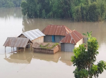 পদ্মায় কমেছে পানি, বেড়েছে সাপ আতঙ্ক