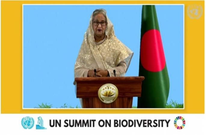 বিনিয়োগের ক্ষেত্রে ‘টেকসই ভবিষ্যত’ নিশ্চিত করার আহ্বান প্রধানমন্ত্রীর