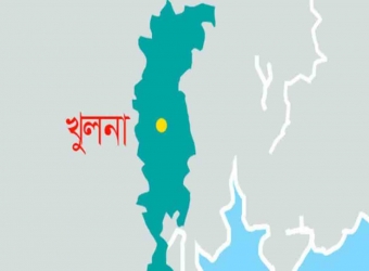 ভাইয়ের হাতে ভাই খুন