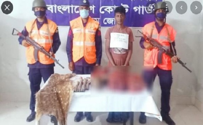 হরিণের মাংস-চামড়াসহ আটক ১