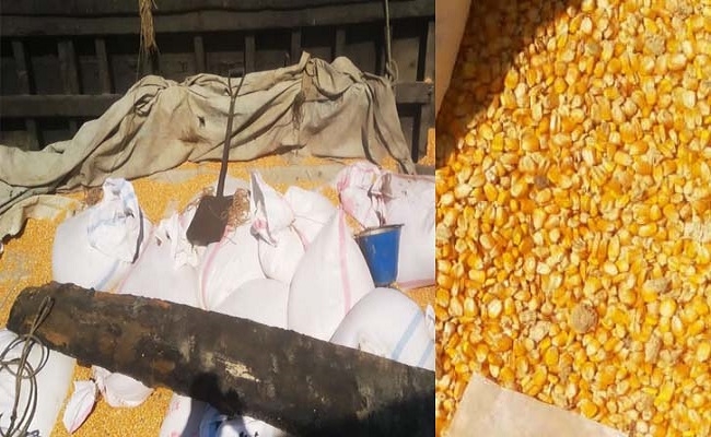 ৫০০ কেজি চোরাই ভুট্টা উদ্ধারসহ নৌকা জব্দ