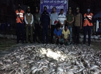 ৪০০ কেজি নিষিদ্ধ হাঙ্গরসহ ২ জন আটক