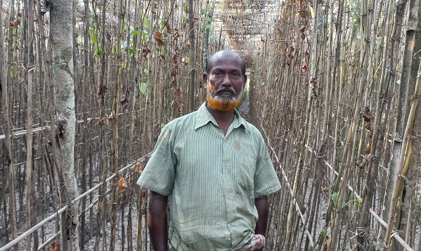 ভালো নেই আলমডাঙ্গার পান চাষীরা