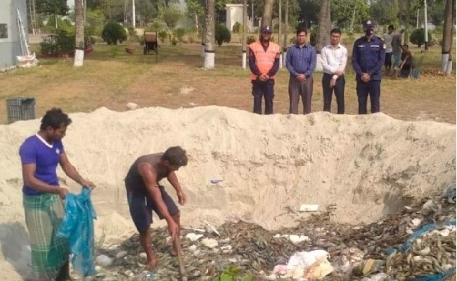 চাঁদপুরে ২০ হাজার ১০০ কেজি বিষাক্ত জেলি মেশানো চিংড়ি জব্দ