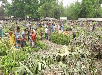 রমজানকে ঘিরে জমে উঠেছে দেশের বৃহৎ কলার হাট