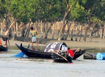 সুন্দরবনের খালে বিষ দিয়ে মাছ শিকার, ১২ জেলে আটক