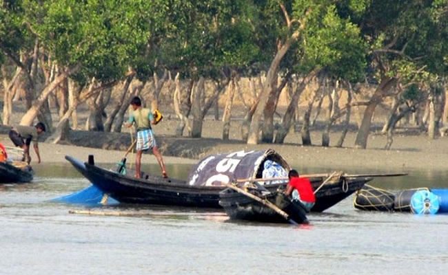 সুন্দরবনের খালে বিষ দিয়ে মাছ শিকার, ১২ জেলে আটক