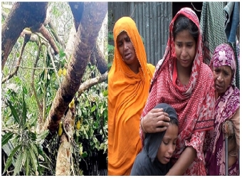 কালবৈশাখীর তাণ্ডবে  দুই জেলায় ৮ জনের মৃত্যু