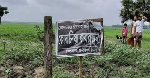 আ.লীগ নেতার বিরুদ্ধে অন্যের গাছ কাটার অভিযোগ