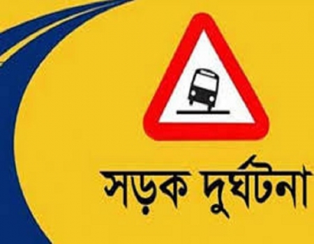 ট্রাক উল্টে খাদে, ৫ মহিষের মৃত্যু