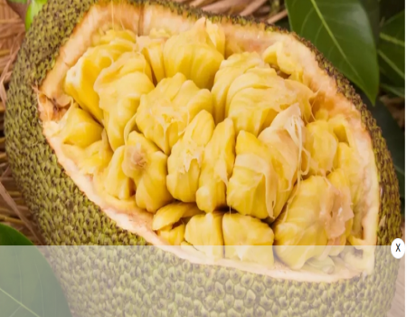 কাঁঠাল ভাঙতে বলায় গৃহকর্ত্রীকে কুপিয়ে হত্যা করেছে গৃহকর্মী