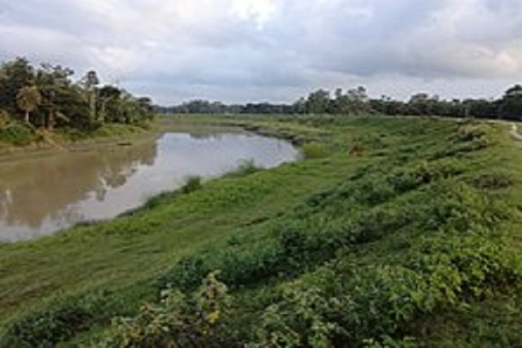  হালদা নদী থেকে মৃত ডলফিন উদ্ধার 