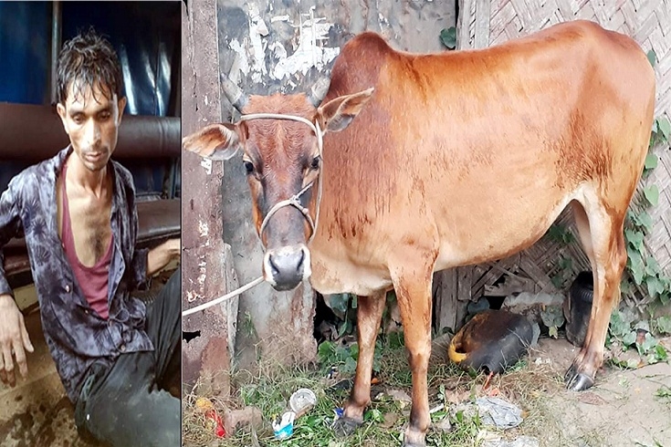 মিরসরাইয়ে গরু সহ চোর আটক
