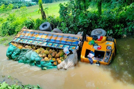 সুবর্ণচরে কাঁঠাল ভর্তি ট্রাক খালে
