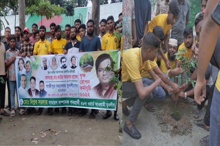 টংগীতে যুবলীগের উদ্যোগে বৃহ্মরোপন কর্মসূচি পালন 