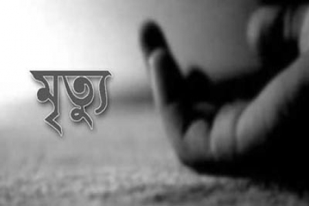 চুয়াডাঙ্গায় পাওয়ার ট্রিলারের নিচে পড়ে চালকের মৃত্যু