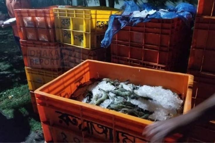 র‍্যাবের অভিযানে ৫ হাজার কেজি অপদ্রব্য পুশকৃত চিংড়ি জব্দ, আটক ১৮