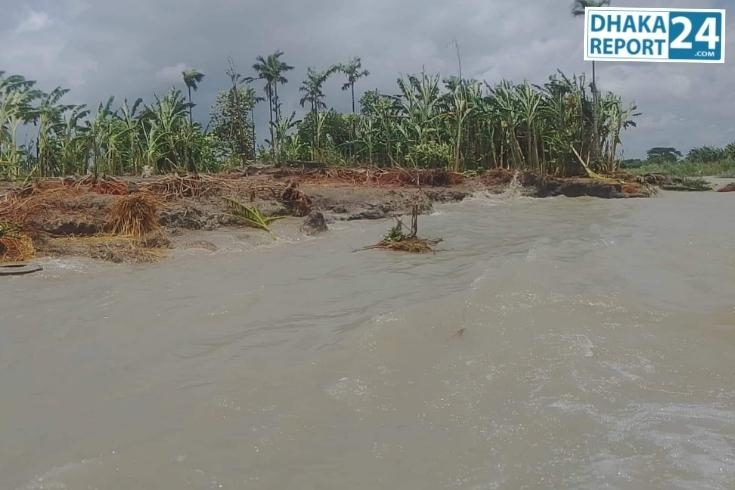 মেঘনার ভাংঙ্গনের কবলে হাইমচরের মধ্যচরে ইউনিয়নবাসীর বসতভিটা