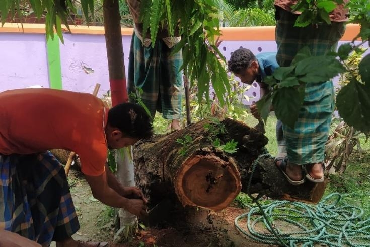 পত্নীতলায় টেন্ডার ছাড়াই সরকারি হাসপাতালের গাছ কাঁটার অভিযোগ 