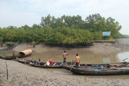বন বিভাগের অভিযানে  নৌকা সহ চিংড়ি মাছ জব্দ