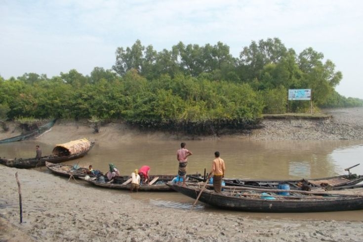 বন বিভাগের অভিযানে  নৌকা সহ চিংড়ি মাছ জব্দ