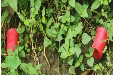 চুয়াডাঙ্গার আলমডাঙ্গায় বোমা সাদৃশ্য বস্তু উদ্ধার
