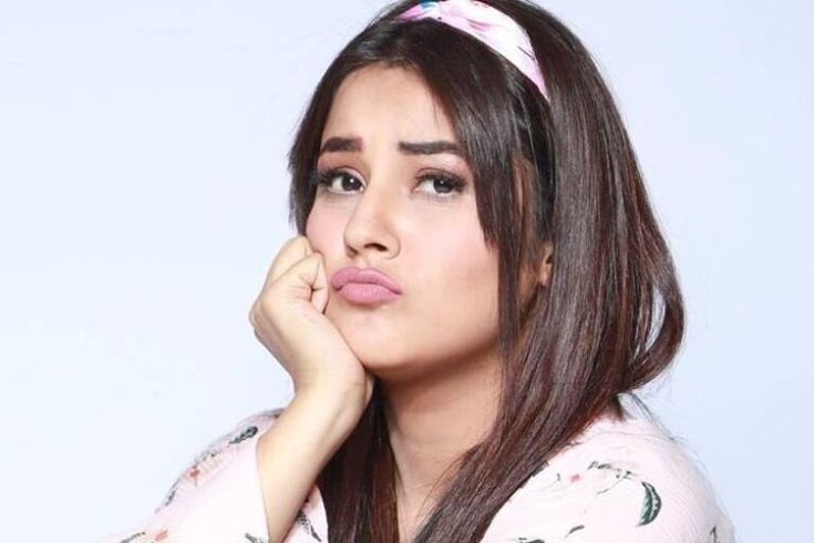 গান গেয়ে আলোচনায় শেহনাজ গিল