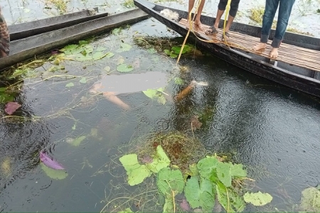 নড়াইলে অজ্ঞাত ব্যক্তির অর্ধ গলিত লাশ উদ্ধার