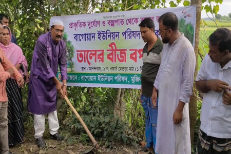মেহেরপুরে বজ্রপাত থেকে বাঁচতে তালের বীজ বপন