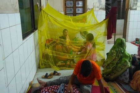 চুয়াডাঙ্গায় ডেঙ্গু আক্রান্ত ৫ রোগী হাসপাতালে ভর্তি