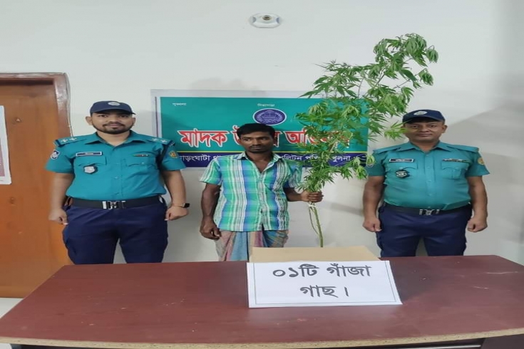 কেএমপি'র অভিযানে গাঁজা ও গাছ, ইয়াবাসহ গ্রেপ্তার-৪