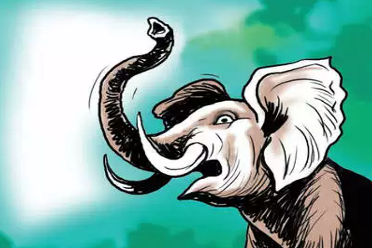সাতকানিয়ায় বন্য হাতির আক্রমনে মহিলা চা শ্রমিক নিহত