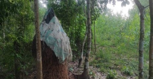 লোহাগাড়ায় পুরোনা কবরস্থান দখলের পাঁয়তারা