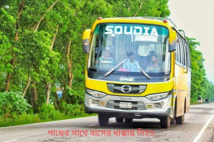 লোহাগাড়ায় গাছের সাথে বাসের ধাক্কায় নিহত ২ ও আহত ৫