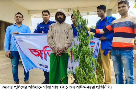 কয়রায় গাঁজাগাছ সহ মাদক ব্যবসায়ী আটক