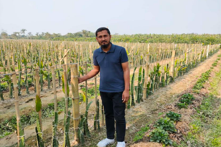 মিশ্র ফল চাষে জীবননগরের লিটনের সাফল্য