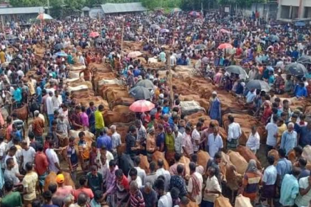 দরপত্র দাখিলে বাধা: ৩৪ লাখ টাকা কমে কোলা হাটের ইজারা