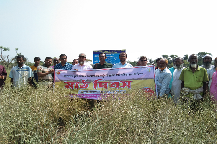 কয়রায় বারি সরিষা-১৮ উপর কৃষক মাঠ দিবস