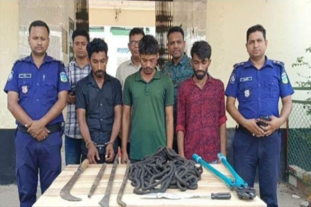 ভালুকায় ডাকাতির প্রস্ততির সময় ট্রাকসহ ৩ ডাকাত আটক