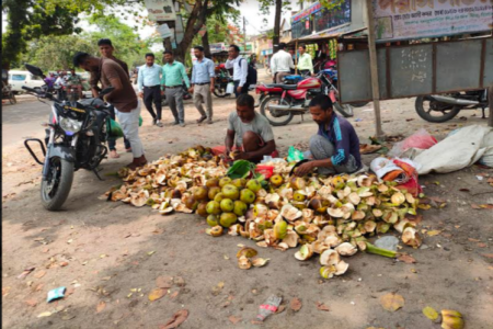 জীবননগরে তালের শাঁসের কদর বেড়েছে
