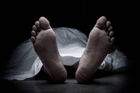  ঝড়ে গাছ চাপায় প্রাণ গেল বৃদ্ধার
