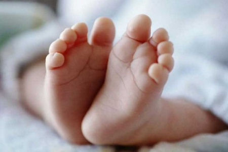 সাতক্ষীরায় নবজাতকের গলিত মরদেহ উদ্ধার 