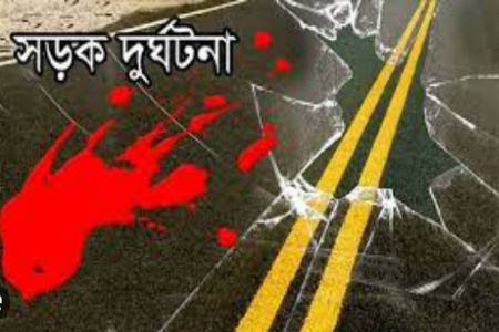জীবননগরে সড়ক দূর্ঘটনায় বৃদ্ধ নিহত