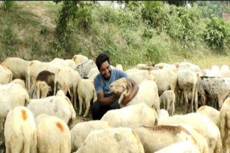  গাড়ল পালনে স্বাবলম্বী শান্তিরুল ইসলাম