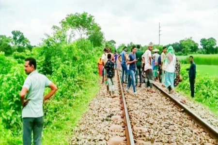 চুয়াডাঙ্গায় ছাগল বাঁচাতে গিয়ে ট্রেনে কাটা পড়ে বৃদ্ধার মৃত্যু