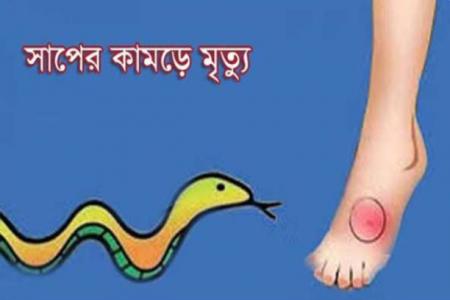 আলমডাঙ্গায় সাপের কামড়ে স্কুলছাত্রীর মৃত্যু