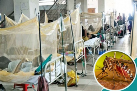 ডেঙ্গুতে ১৪ জনের মৃত্যু, হাসপাতালে ২৮৬৫