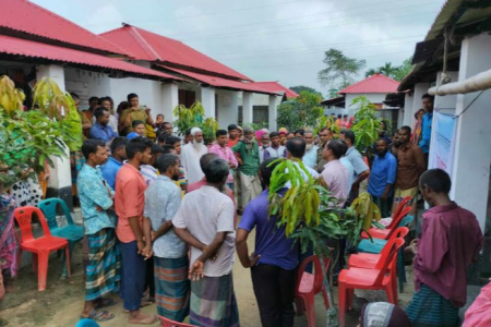 ঠাকুরগাঁওয়ে আশ্রয়ন প্রকল্পে সবজির বীজ ও ফলের চারা বিতরণ  