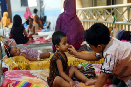 ডেঙ্গুতে আরও ১৩ জনের মৃত্যু, হাসপাতালে ২৫৫৫ রোগী