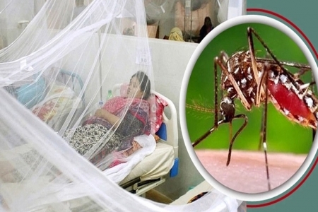 ডেঙ্গুতে আরো ৯ জনের মৃত্যু, হাসপাতালে ভর্তি ২০৫৬